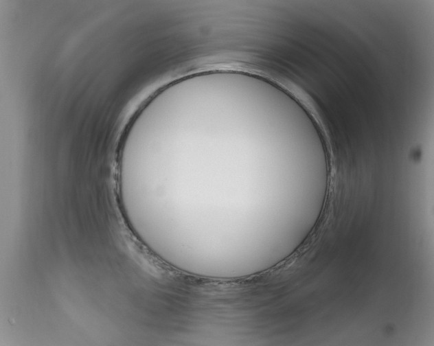 X0000112801051200908210958