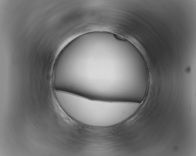 X0000112801052200908210958