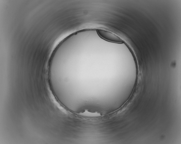 X0000112801053200908210958