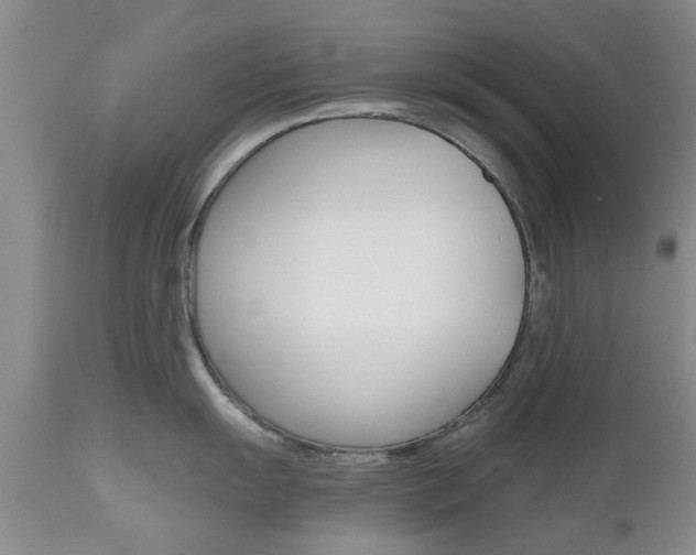 X0000112801055200908210958