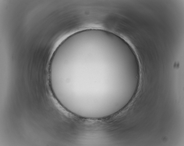 X0000112801056200908210958