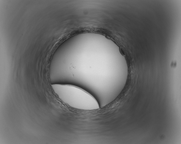 X0000112801057200908210958