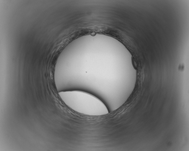 X0000112801058200908210958