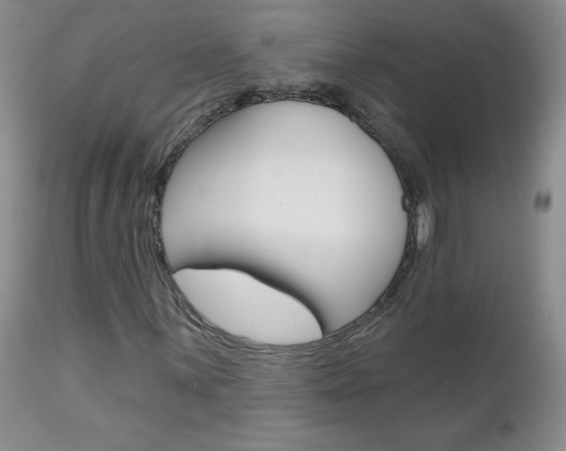 X0000112801059200908210958