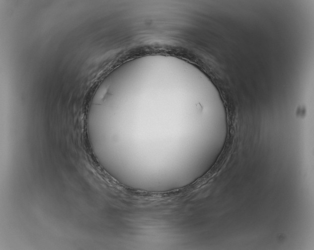X0000112801061200908210958
