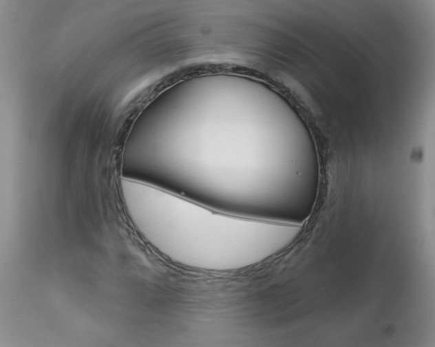 X0000112801064200908210958