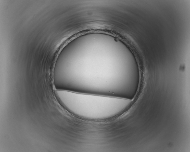 X0000112801065200908210958