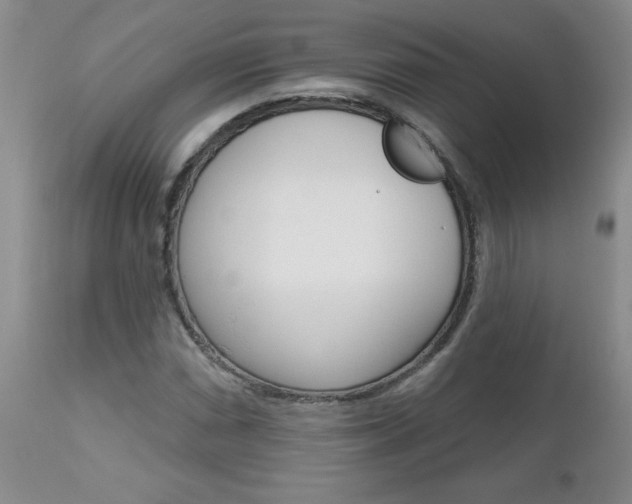 X0000112801066200908210958