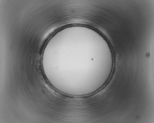 X0000112801067200908210958