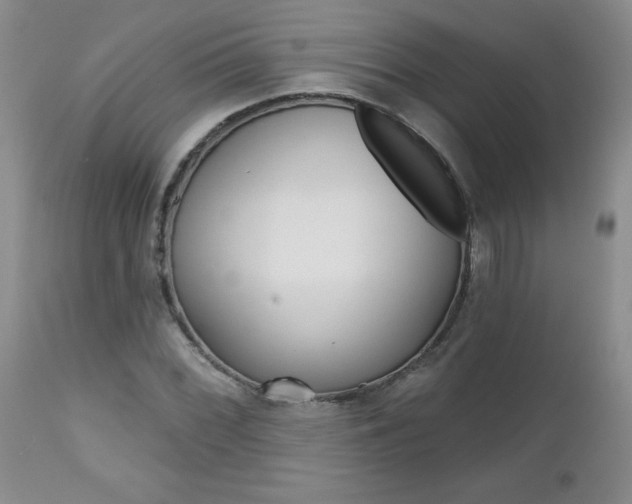 X0000112801068200908210958