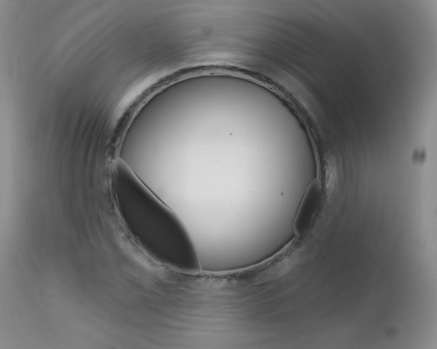 X0000112801069200908210958