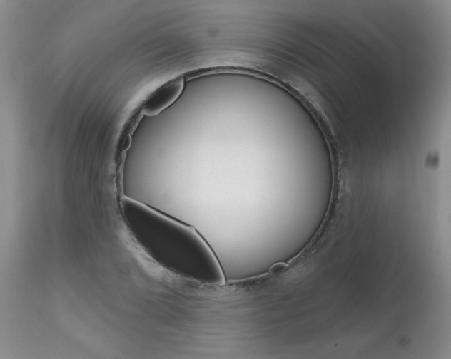X0000112801072200908210957