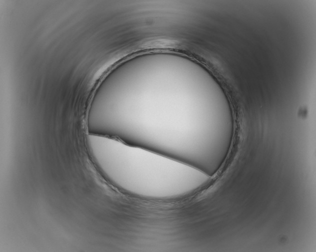 X0000112801073200908210957