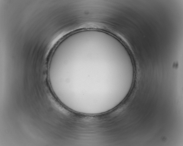 X0000112801075200908210957