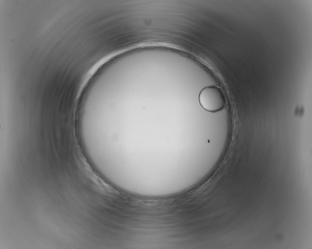 X0000112801076200908210957
