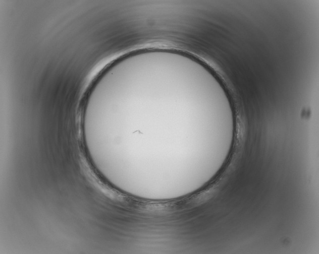 X0000112801078200908210957