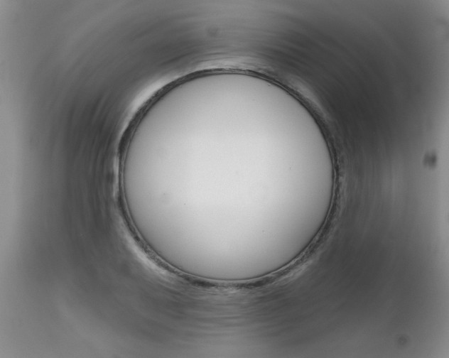 X0000112801079200908210957