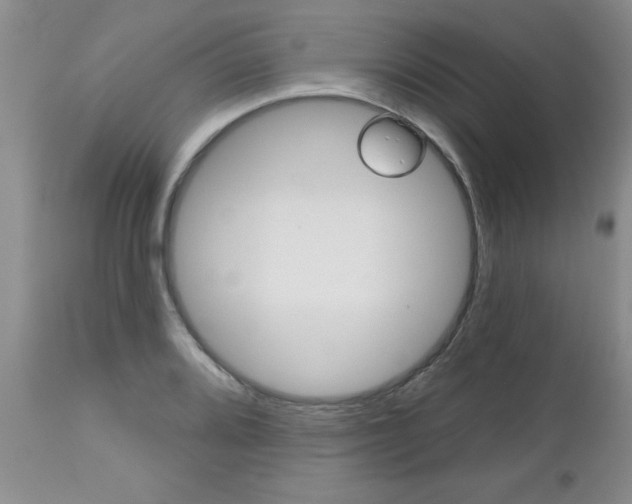 X0000112801080200908210957