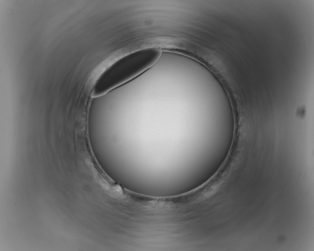 X0000112801081200908210957