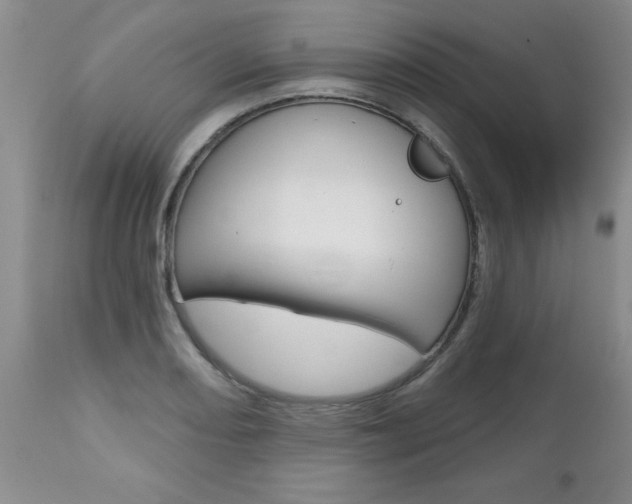 X0000112801082200908210957