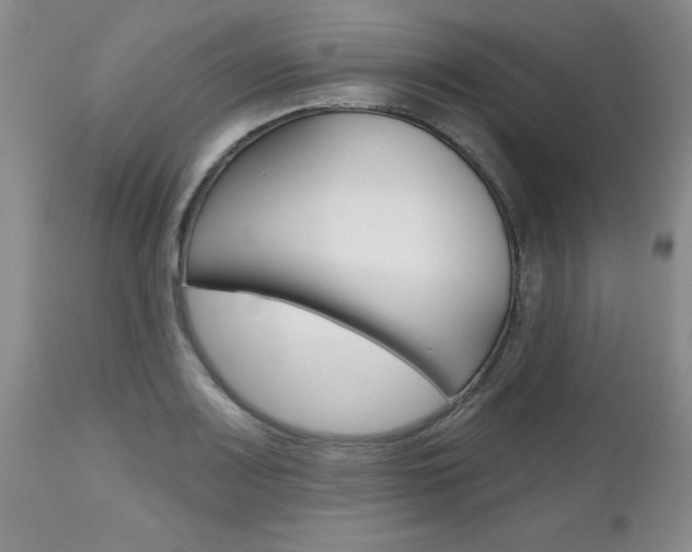 X0000112801083200908210957