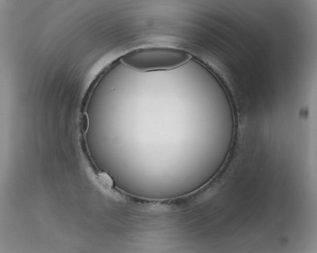 X0000112801085200908210957