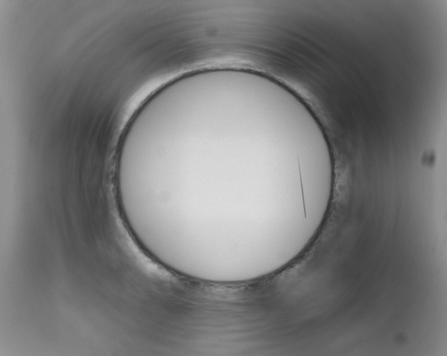 X0000112801086200908210957
