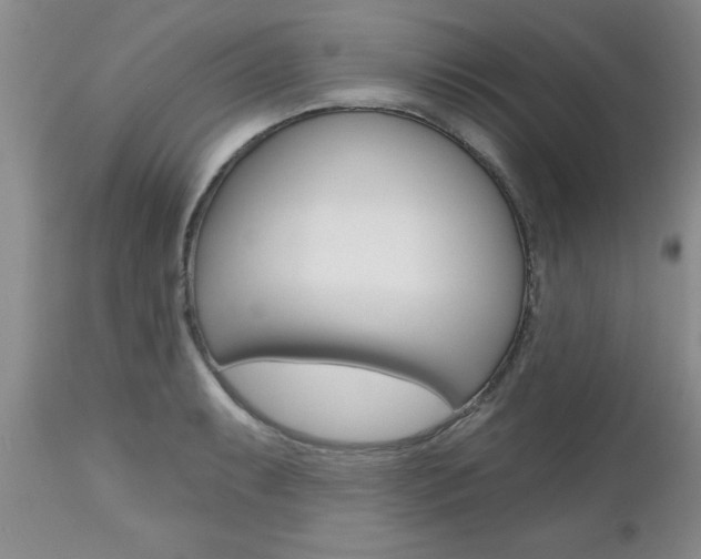 X0000112801087200908210957