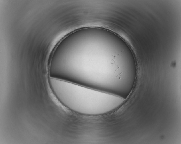 X0000112801088200908210957