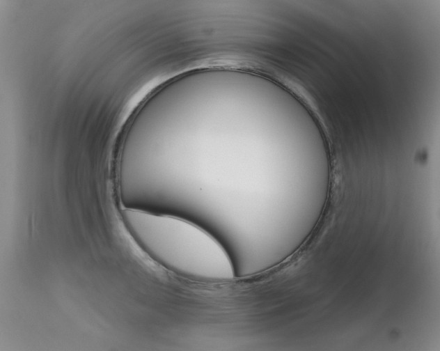 X0000112801091200908210957