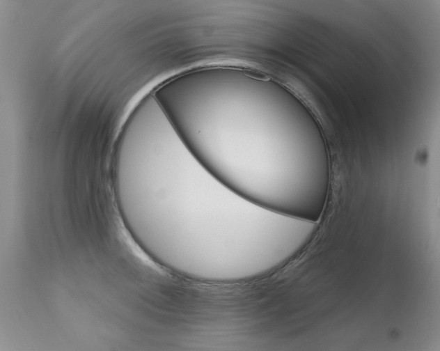 X0000112801092200908210957