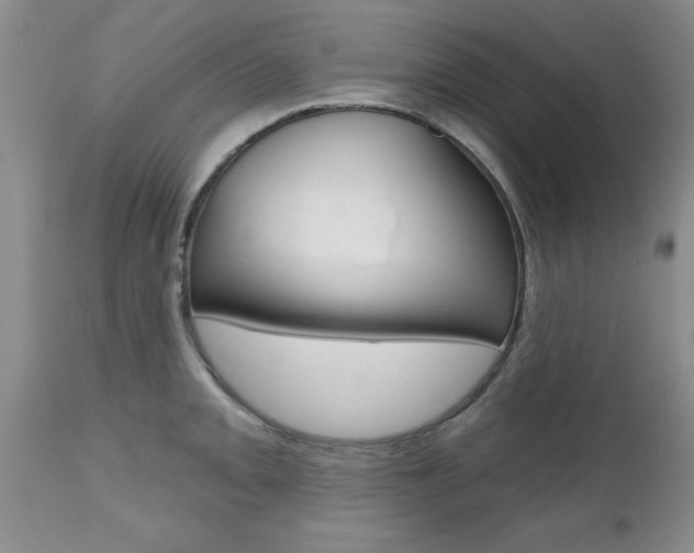 X0000112801093200908210957