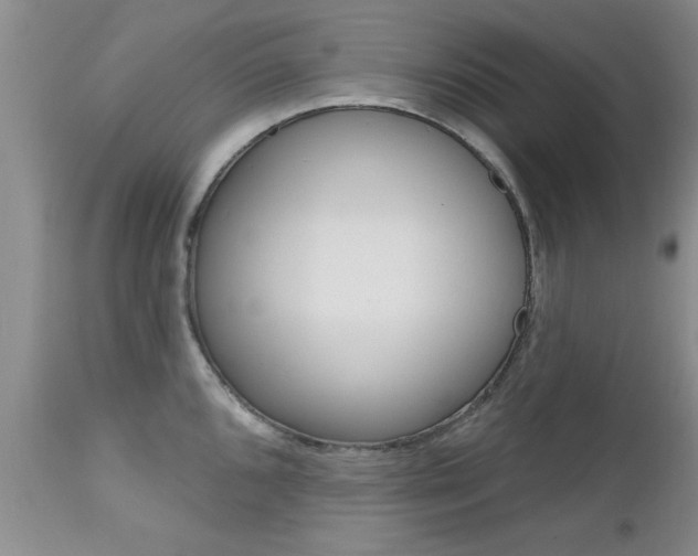X0000112801096200908210957