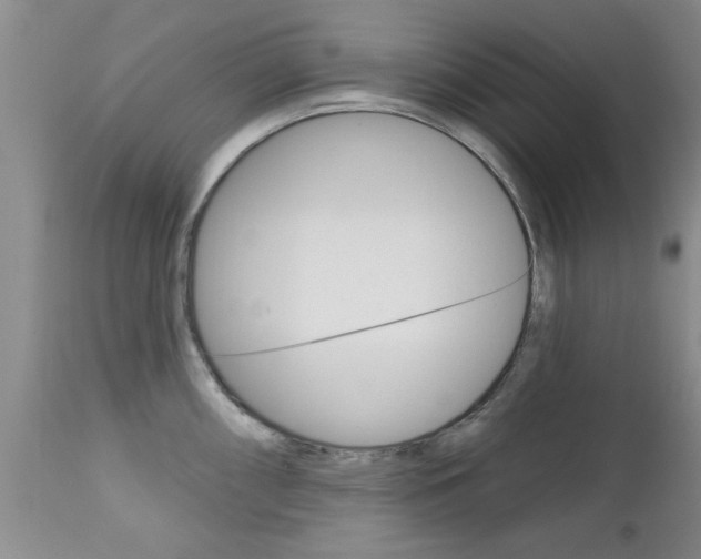 X0000112801098200908210957