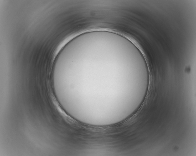 X0000112801101200908210957