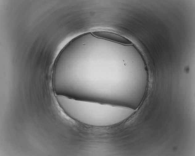 X0000112801102200908210957