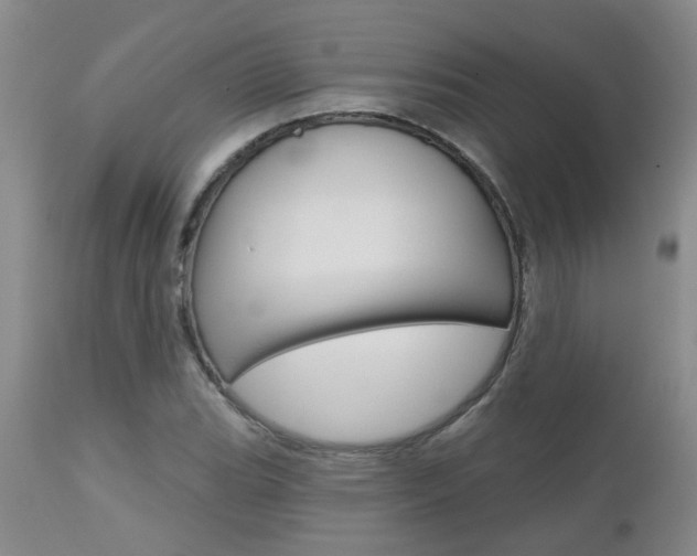 X0000112801119200908210957