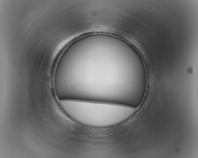 X0000112801120200908210957