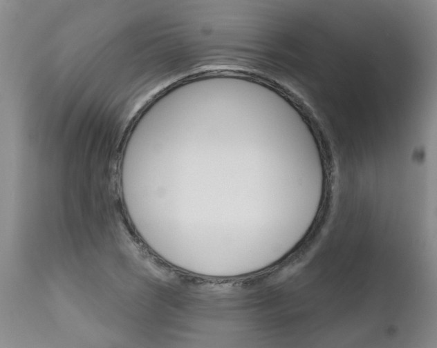 X0000112801121200908210957