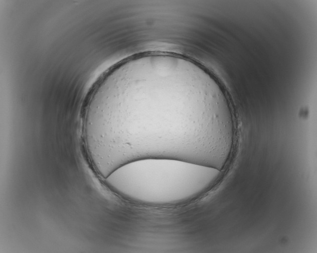 X0000112801125200908210957