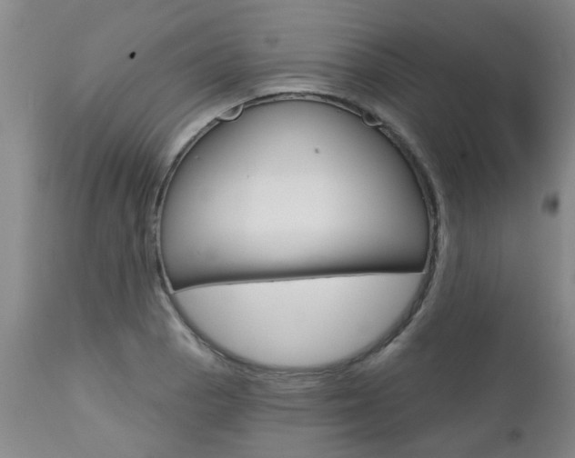 X0000112801129200908210957