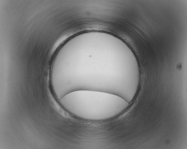 X0000112801130200908210957
