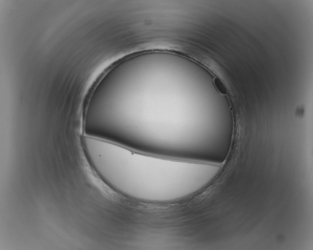 X0000112801132200908210957