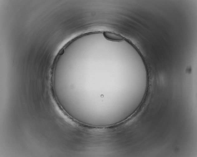 X0000112801134200908210957
