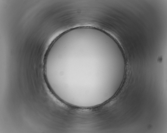 X0000112801135200908210957