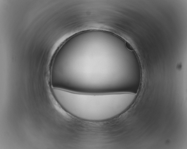 X0000112801136200908210957
