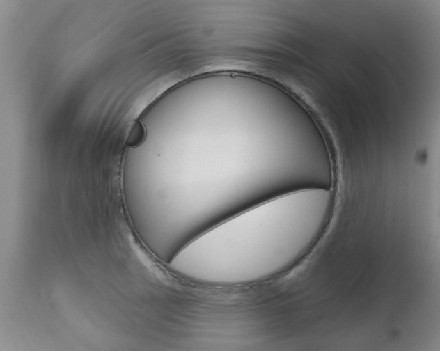 X0000112801137200908210957