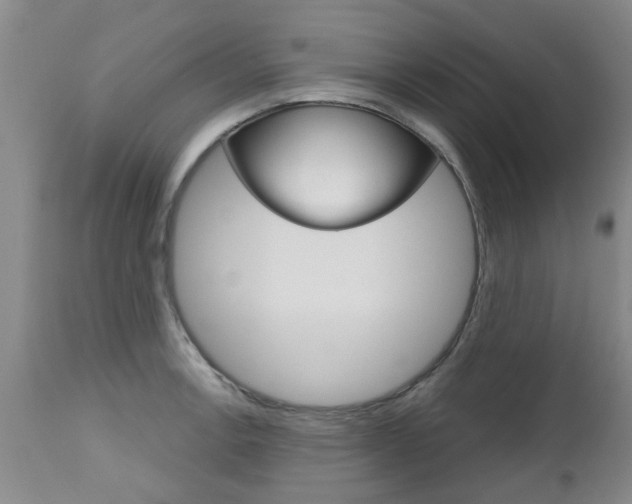 X0000112801138200908210957