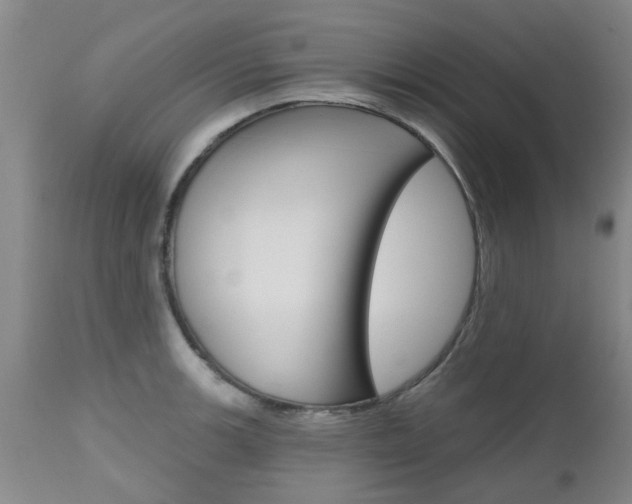 X0000112801139200908210957