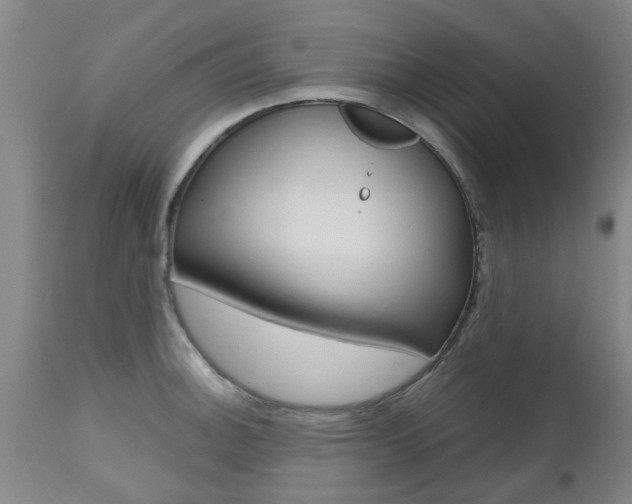 X0000112801140200908210957
